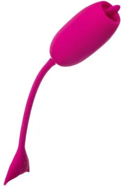 Cal Exotics Rechargeable Kegel Teaser