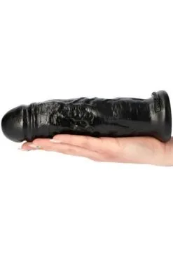 Toyz4lovers Diego Dildo Black 21 Cm -Anal sexleketøy butikk p diego dildo black 21 cm 2 120759
