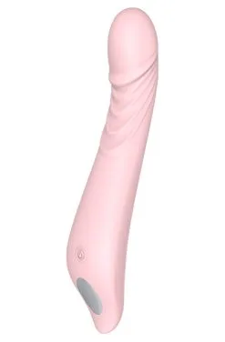 Dream Toys Prince Charming