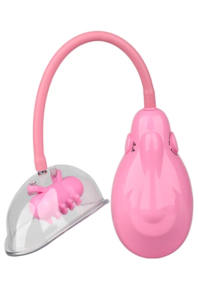 Dream Toys Vibrating Vagina Pump 3 Dream Toys Vibrating Vagina Pump