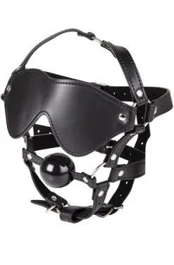 Diabolique Full Head Blindfold & Ball Gag Set