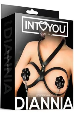 IntoYou Diannia Bondage Harness