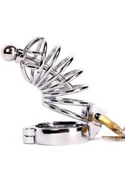 Kiotos Chastity Cage With Penis Stick