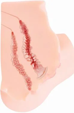 Kokos Onahole Masturbator 5,4kg -Anal sexleketøy butikk p kokos onahole masturbator 5 4kg productimage 3