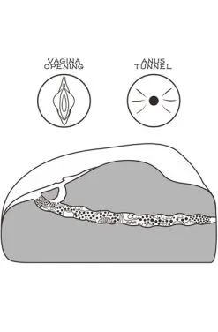 Lovetoy Streetgirl 1 Flesh -Anal sexleketøy butikk p lovetoy streetgirl 1 flesh 4 152604