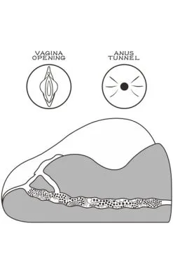 Lovetoy Streetgirl 2 Brown -Anal sexleketøy butikk p lovetoy streetgirl 2 brown 4 203124