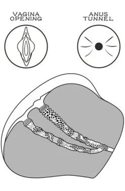 Lovetoy Streetgirl 4 Brown -Anal sexleketøy butikk p lovetoy streetgirl 4 brown 5 160821