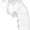 Mancage 12 Chasity Cage With Plug Transparent