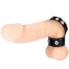 NMC Mens Expert Cock Strap With Ball Stretcher 1 NMC Mens Expert Cock Strap With Ball Stretcher -Anal sexleketøy butikk p mens expert cock strap with ball stretcher 002422