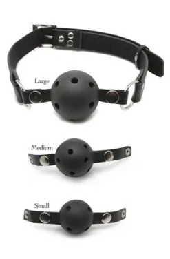 Pipedream Fetish Fantasy Ball Gag Training System