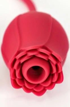 Sustainable Pleasure Red Rose Suction + Vibrating Bullet 7 Sustainable Pleasure Red Rose Suction + Vibrating Bullet -Anal sexleketøy butikk p red rose suction vibrating bullet productimage 2 112053
