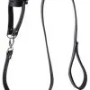 Strict Ball Stretcher With Leash