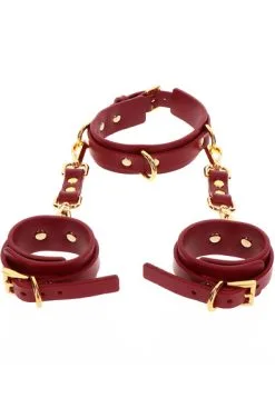 Taboom D-Ring Collar & Wrist Cuffs