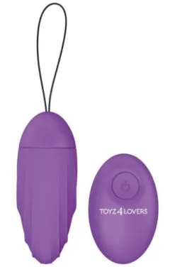 TOYZ4LOVERS Vibrating Egg Remote Control