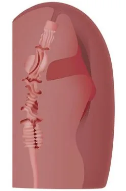 Zero Tolerance Kira Noir Stroker -Anal sexleketøy butikk p zero tolerance kira noir stroker 3 160018