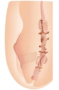 Zero Tolerance Sasha Grey Vagina & Ass Stroker -Anal sexleketøy butikk p zero tolerance sasha grey vagina ass stroker 2